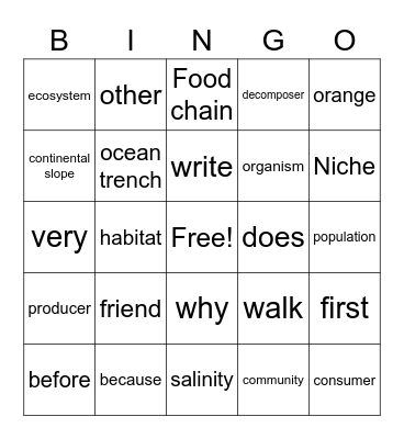 Hailee and Jorge Bingo Card