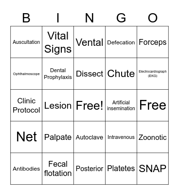 Pre-Vet Bingo Card