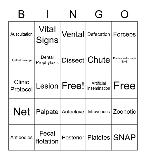 Pre-Vet Bingo Card