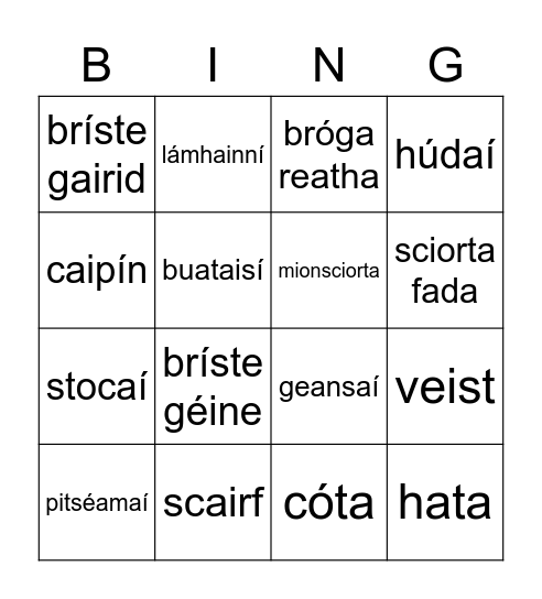 ÉADAÍ Bingo Card