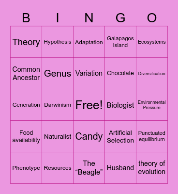 Date with Darwin! Bingo Card