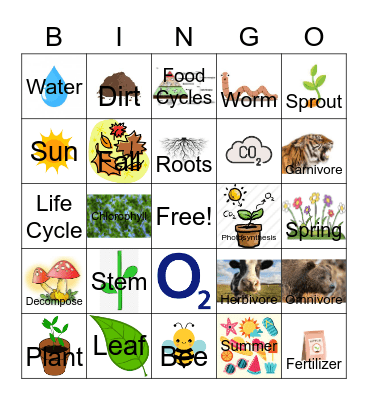 Gardening Bingo- Q&A Bingo Card