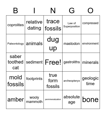 Fossils & the Fossil Record Bingo Card