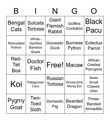 Creature Feature Bingo Card