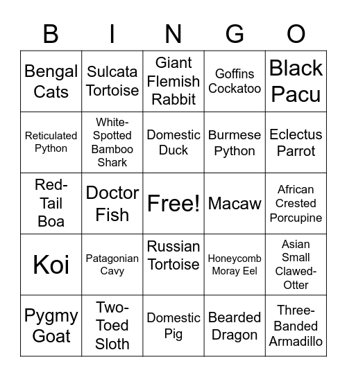 Creature Feature Bingo Card
