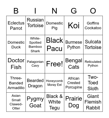 Creature Feature Bingo Card