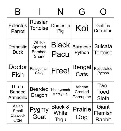 Creature Feature Bingo Card
