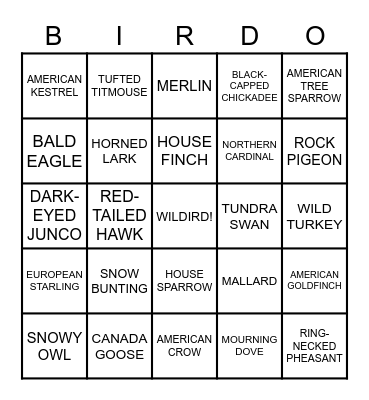 Winter Birding in the Thumb Bingo Card