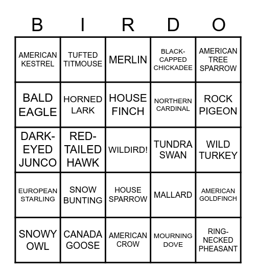 Winter Birding in the Thumb Bingo Card