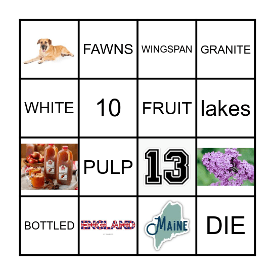 New Hampshire Bingo Card
