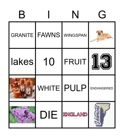 New Hampshire Bingo Card