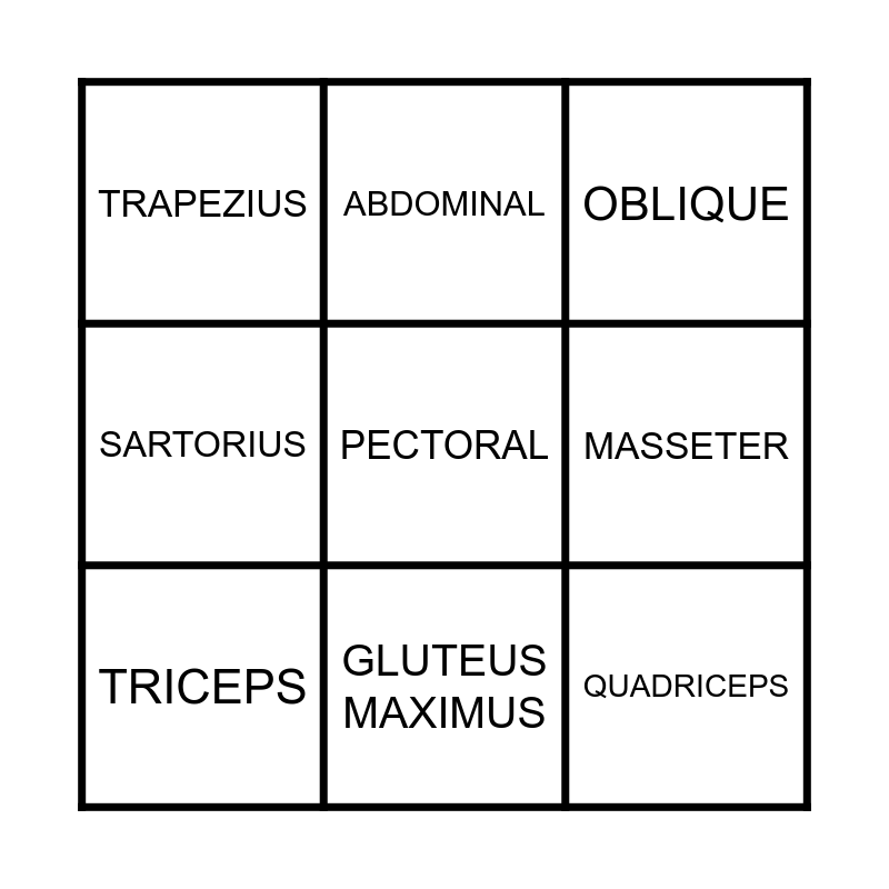 MUSCLE BINGO! Bingo Card