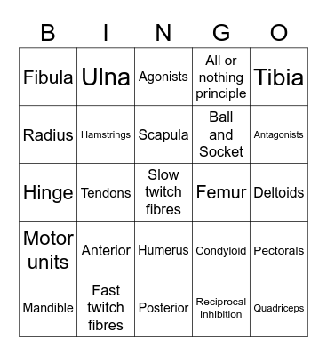 Musculoskeletal System Bingo Card