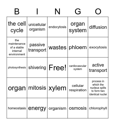 homeostasis and cell processes Bingo Card