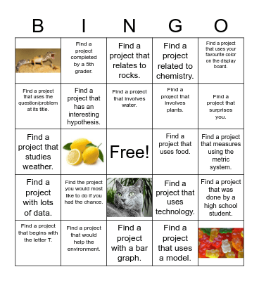 Science Fair Scavenger Hunt Bingo Card