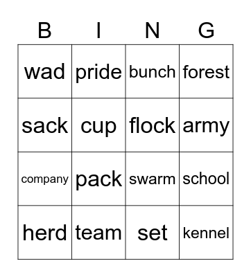 Collective Nouns Bingo Card