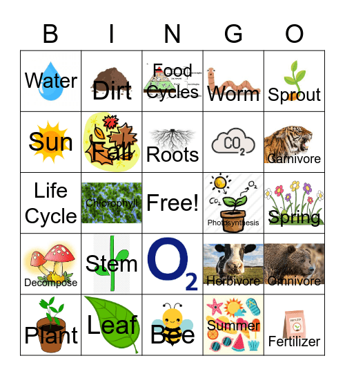 Gardening Bingo- Q&A Bingo Card