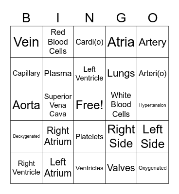 Circulatory System Bingo Card