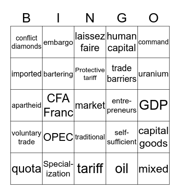 Economics of Africa Bingo Card