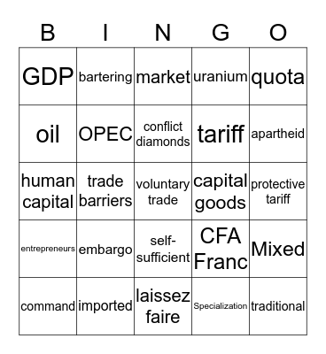 Economics of Africa Bingo Card