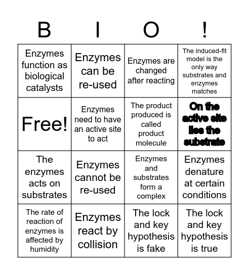 Enzyme action Bingo Card