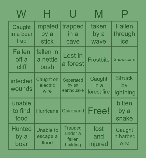 Environmental Whump Bingo Card Bingo Card