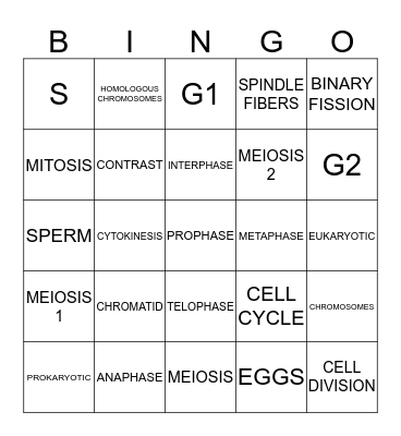 MITOSIS AND MEIOSIS Bingo Card