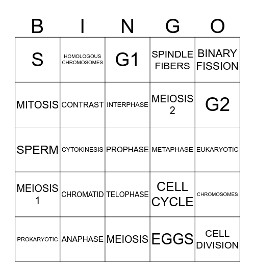 MITOSIS AND MEIOSIS Bingo Card