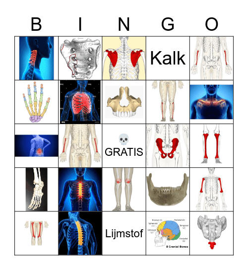 Botten bingo Card