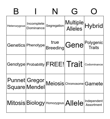 Introduction to Genetics Bingo Card