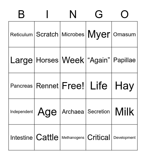 Love the Rumen! Bingo Card