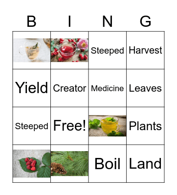 Traditional Teas! Bingo Card