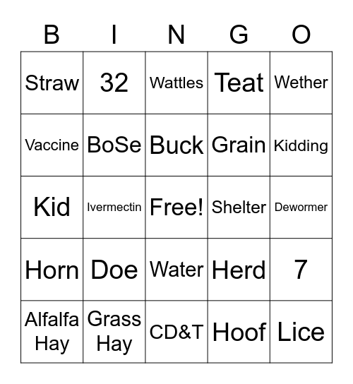 pygmy goat bingo Card