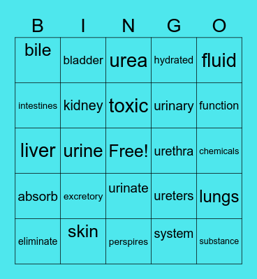 EXCRETORY SYSTEM Bingo Card