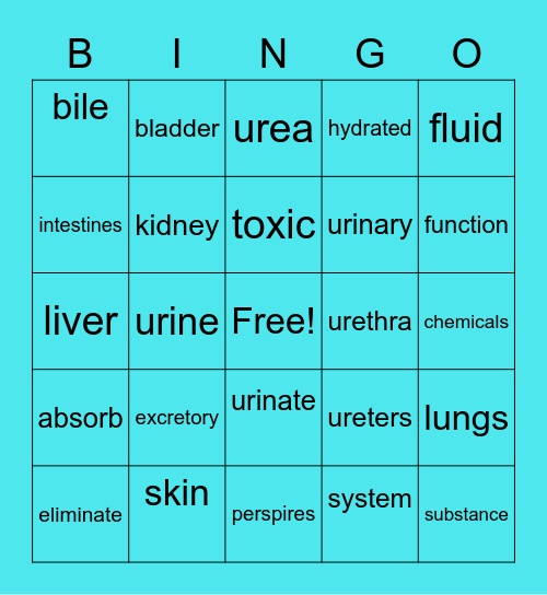 EXCRETORY SYSTEM Bingo Card