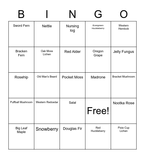 Nature Journaling Bingo Card