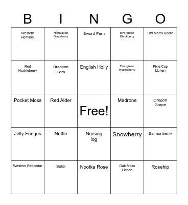 Nature Journaling Bingo Card