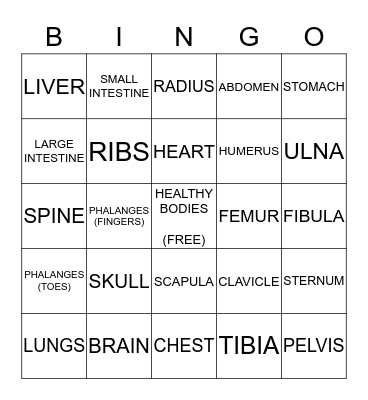 THE HUMAN BODY Bingo Card