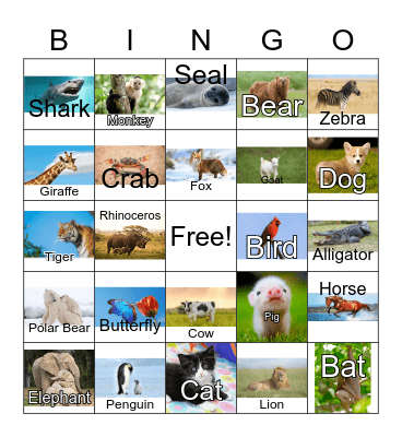 Animal Bingo Card