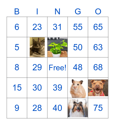 Digital Giving Campaign Bingo Numbers + Pets Bingo Card