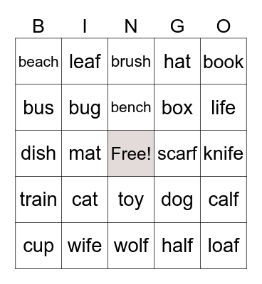 Singular Noun Bingo Card