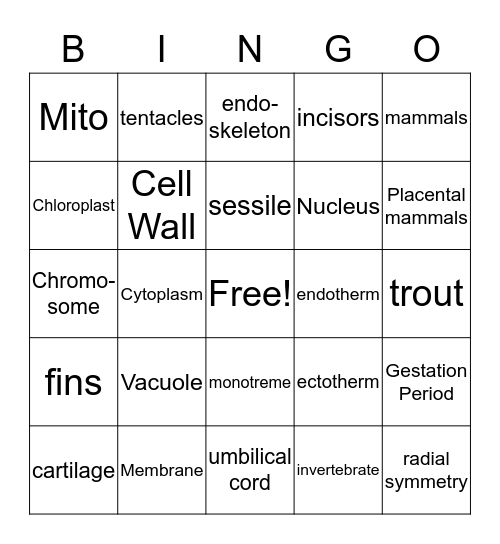 Exam Review Part 1 Bingo Card