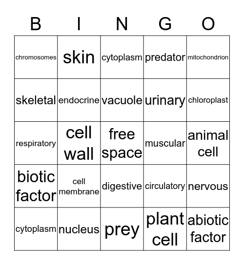 1st Semester Review Bingo Card