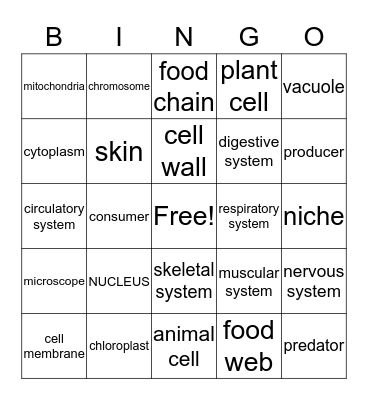 1st Semester Exam Review Bingo Card