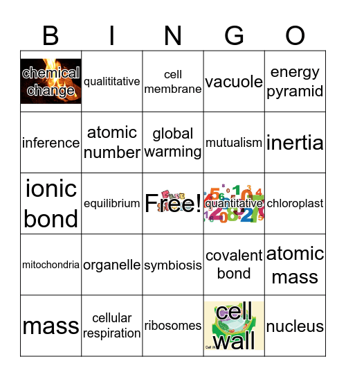 Fall Exam Vocabulary Bingo Card