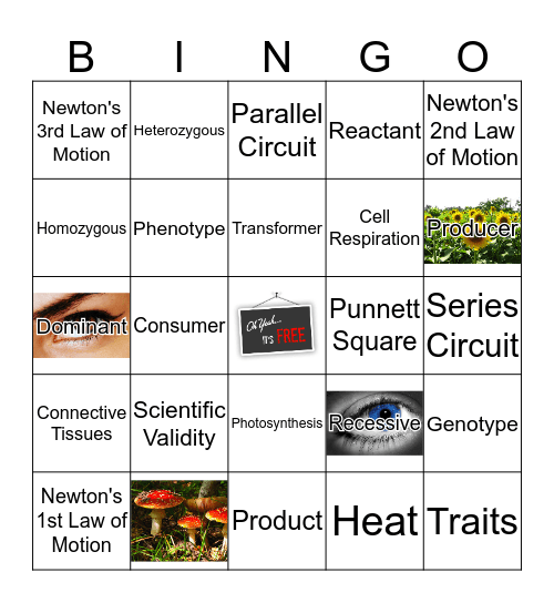 Fall Exam Study Guide Vocabulary 1 Bingo Card