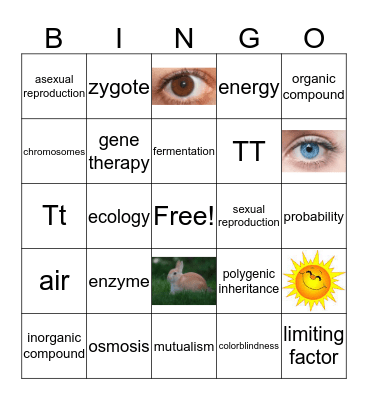 7th Grade Semester Exam Review 2 Bingo Card