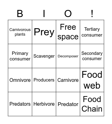 Food Webs Bingo Card