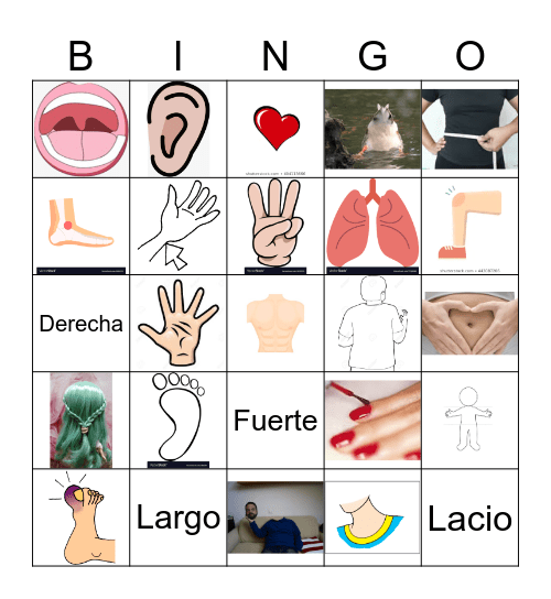 El Cuerpo Bingo Card