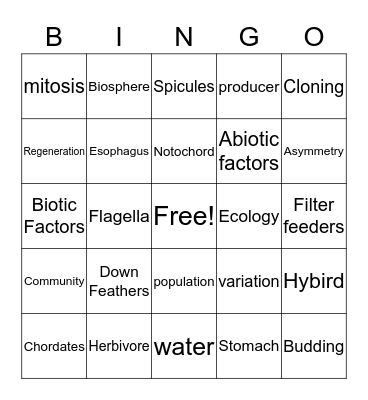 Exam Review 2 Bingo Card